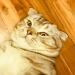 水水