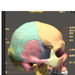 xnormal