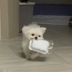Miki柚晰
